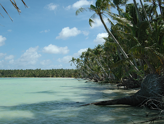 PIPA nikumaroro atoll