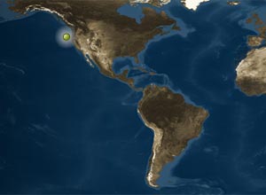 Endurance Array.
