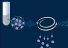 Liquid Chomatography-Mass Spectrometry