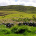 Mauna Kea