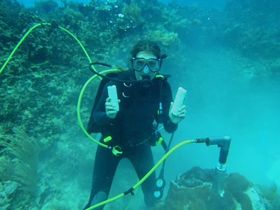 Coral core drilling