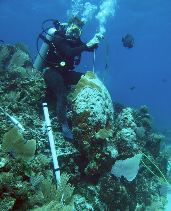 Konrad Hughen drilling coral.