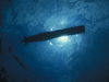 subsurface view of remus