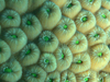 star coral