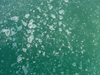 gas bubbles on water surface