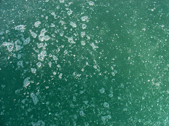 gas bubbles on water surface