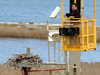 Spring 2002, Multimedia Coordinator Matthew Barton installing the WHOI osprey camera