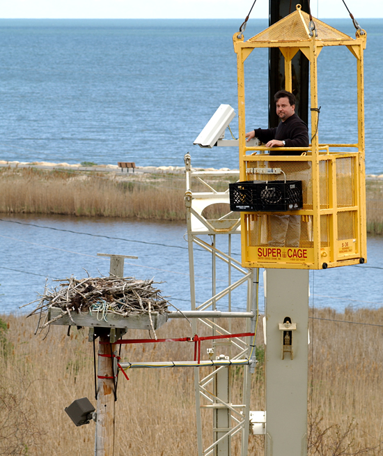 Spring 2002, Multimedia Coordinator Matthew Barton installing the WHOI osprey camera