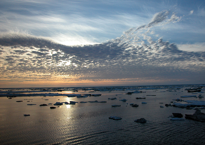 Arctic summer sun