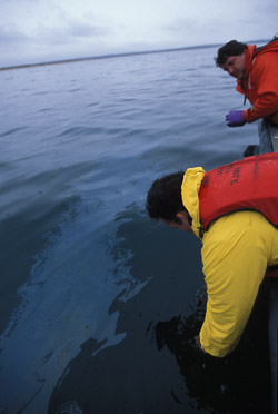 oil spill buzzards bay