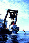 [Gallery Photo]