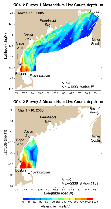Maps of Alexandrium fundyense cell concentrations