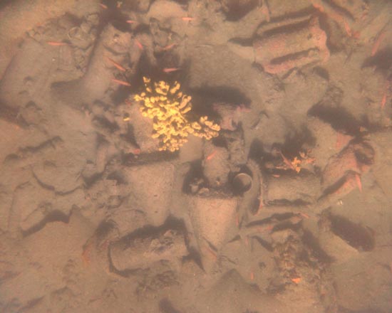 Ancient Greek Shipwrecks