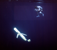 [Gallery Photo]