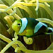 Scientists Use New Methods to Track and Protect Threatened Species