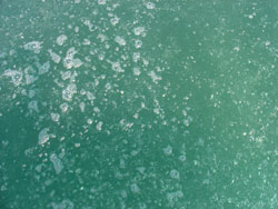 [Gallery Photo]