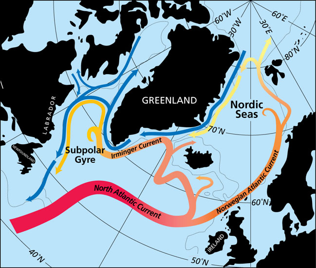 Arctic subpolar currents