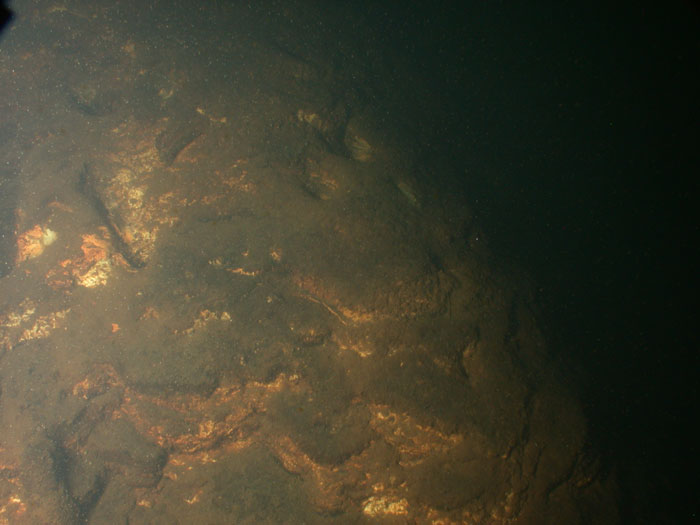 underwater image