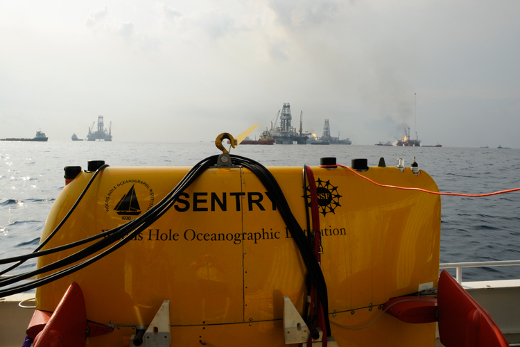 Sentry in the Gulf