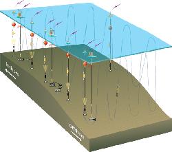 Pioneer Array