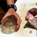 Researchers Find Widespread Floating Plastic Debris in the Western North Atlantic Ocean