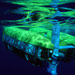 Nereus Soars to the Ocean's Deepest Trench