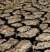california drought