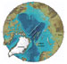 arctic map