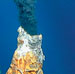 vent chimney