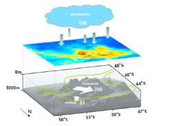 [Gallery Photo]