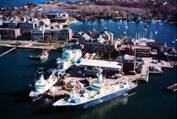 [Gallery Photo]