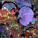 SeaBED