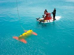 Sentry meets the submersible Alvin during a testing expedition off Bermuda in April 2006. (Photo by Chris German, Woods Hole Oceanographic Institution) Sentry meets the submersible Alvin during a testing expedition off Bermuda in April 2006. (Photo by Chris German, Woods Hole Oceanographic Institution)
