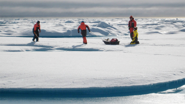Carbon in Arctic Ocean