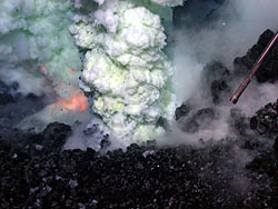 [Gallery Photo]