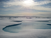 Arctic melt pools
