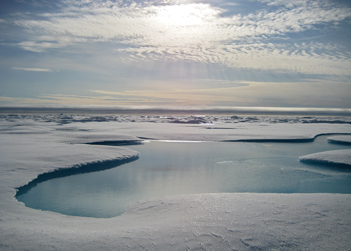 Arctic melt pools