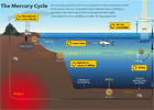 Mercury Cycle