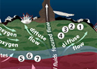 Microbial Life Below the Seafloor