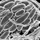 Microbial Life