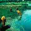 Fresh Water