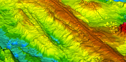 Bathymetric image of the East Pacific Rise.