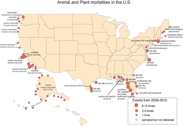 Plant and Animal Mortalities