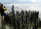 Marine Policy Center