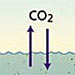 Iron Fertilization