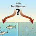 Ocean Iron Fertilization