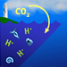 Ocean Acidification