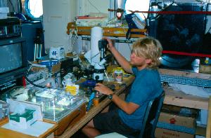 Casey Dunn in the Oceanus Lab