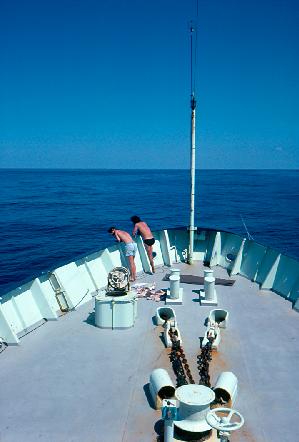 Catching Some Rays at the Bow in the Gulf Stream