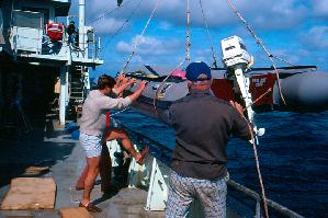 Oceanus Crewmen John Boothilette and Bosun Whitey Warecki Deploying Zodiac Dive Boat